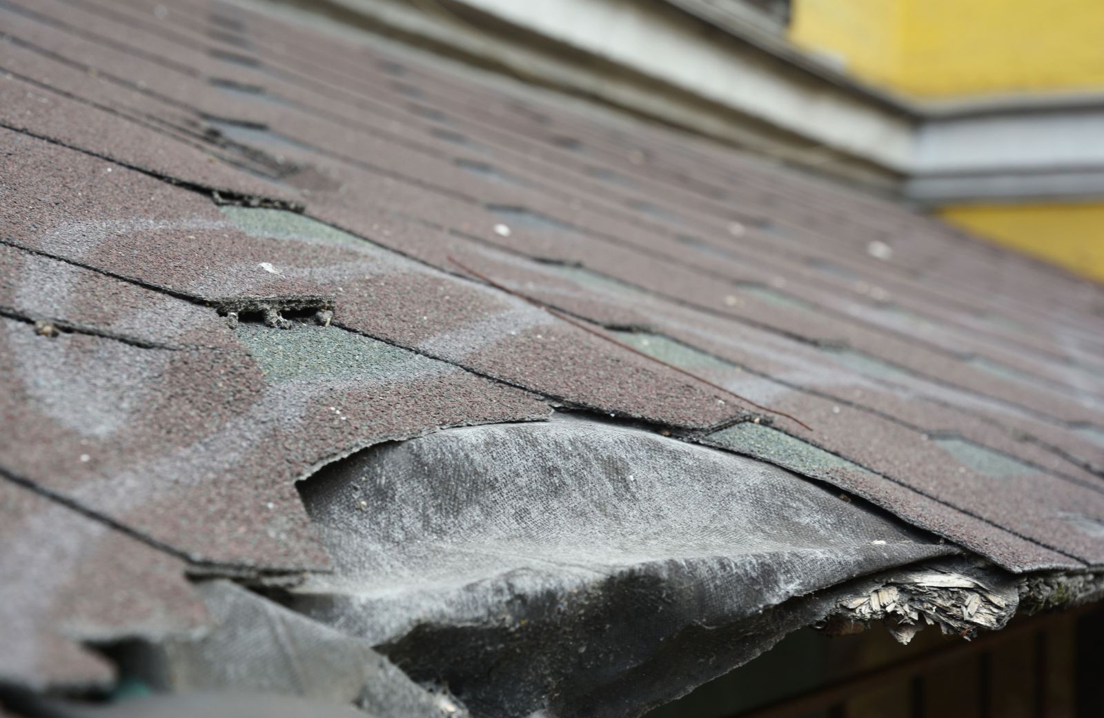 Grunts Roofing Images