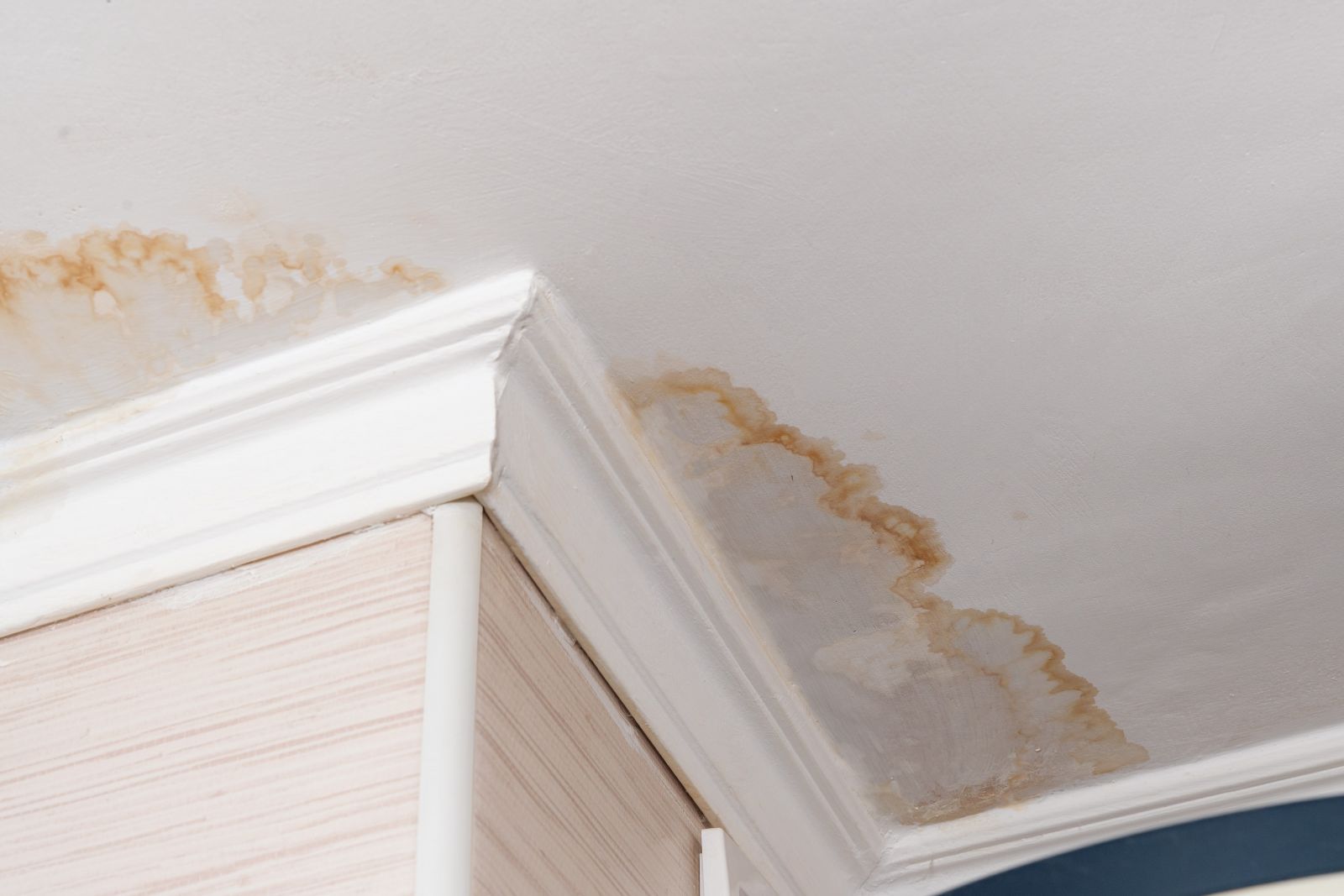 Grunts Roofing Images