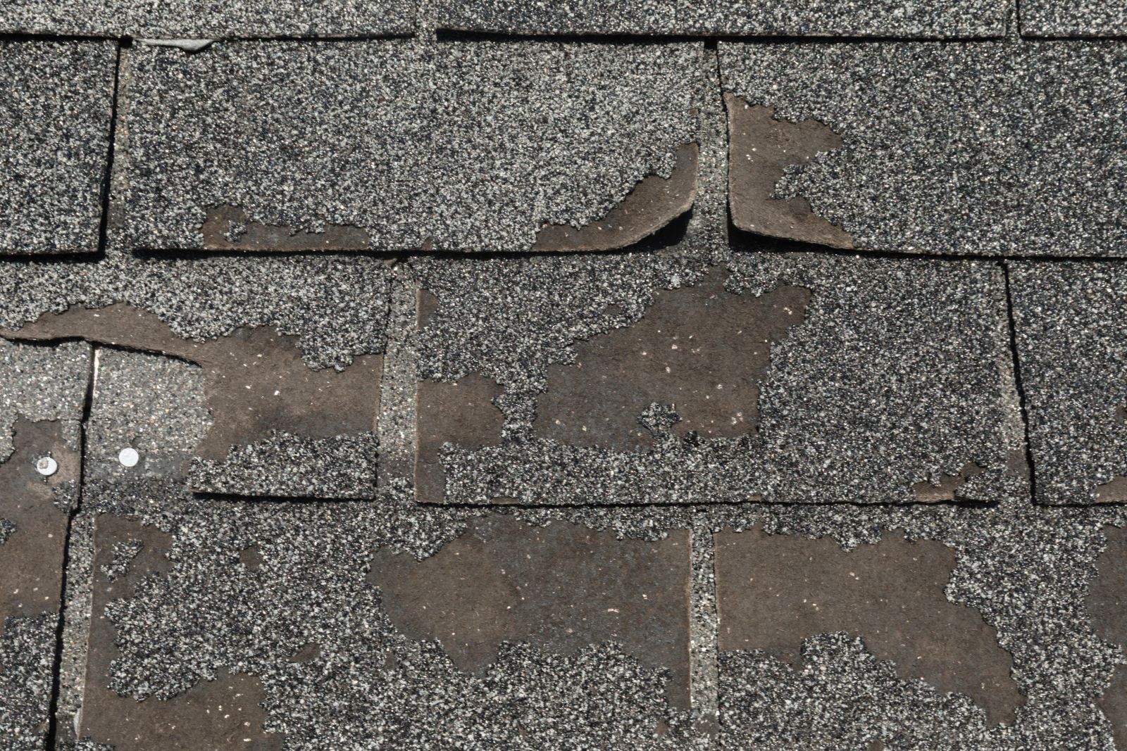 Grunts Roofing Images